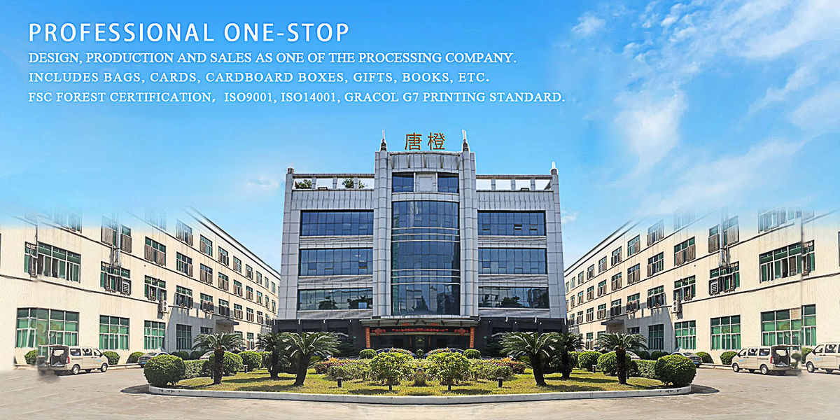 China Guangzhou Tangcheng Technology Co., Ltd. Unternehmensprofil