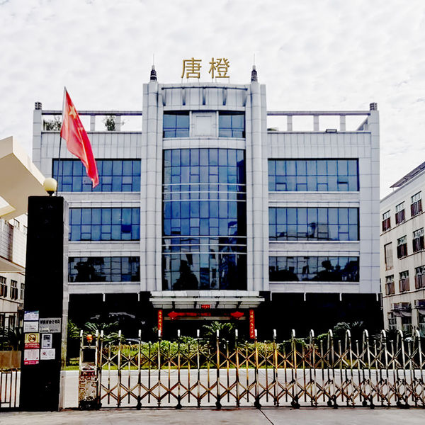 China Guangzhou Tangcheng Technology Co., Ltd. Unternehmensprofil